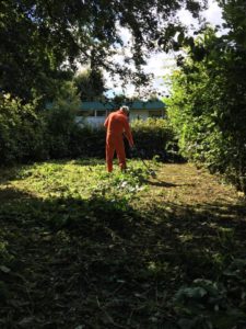 tuin-na-schoonmaken