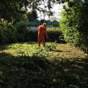 Het op orde brengen van tuin voor woningbouwvereniging in Odijk.